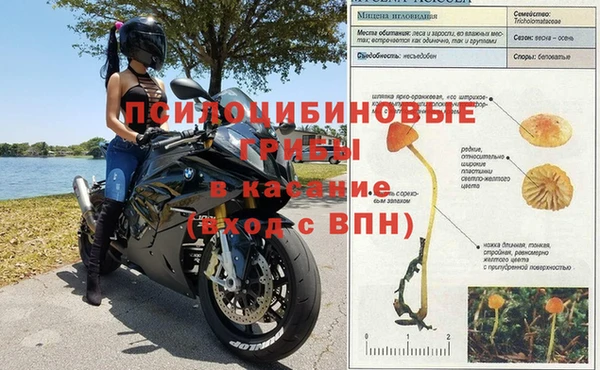 бошки Верхний Тагил